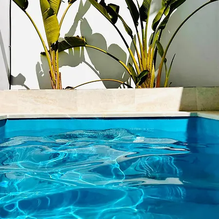 Margarita Ocean View And Private Heated Pool 别墅 *