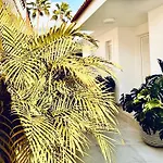 Margarita Ocean View And Private Heated Pool *
