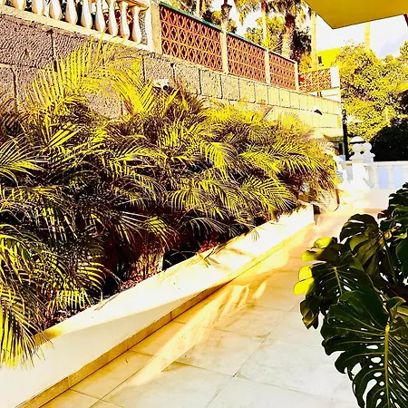 Margarita Ocean View And Private Heated Pool 别墅 阿德耶