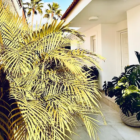 Margarita Ocean View And Private Heated Pool *